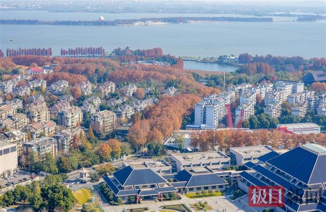 暖阳催彩叶，世界东湖初冬盛景已上线