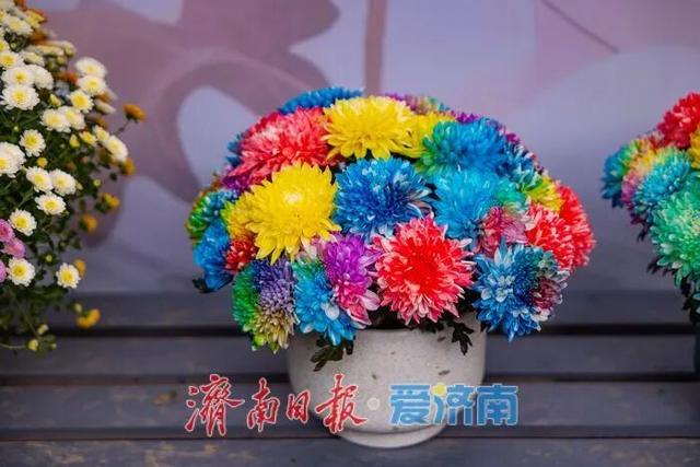 惊艳亮相！济南人又多一个好去处→