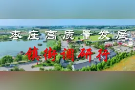 前人栽树，后人乘凉：铭记水泉镇“造林英雄”们图片