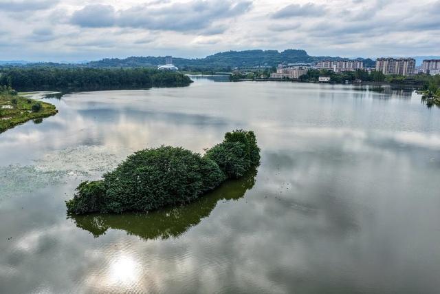 央媒看重庆｜梁平：鸟类保护步入智慧时代