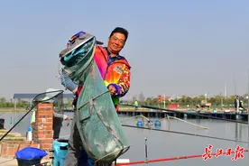 专职钓鱼人月入过万元，一根鱼竿钓活“一潭水”图片