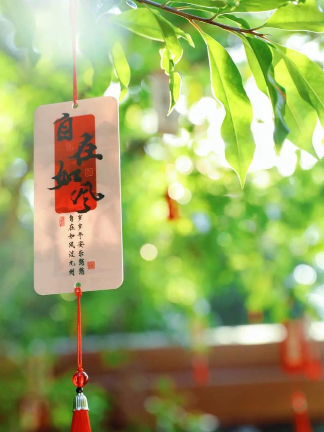 行摄 | 美爆了！秋日花海，限时上映