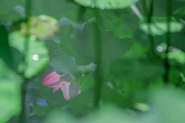 四时天工 扬州如画