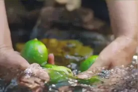 今年涨价最猛的水果，快吃不起了图片