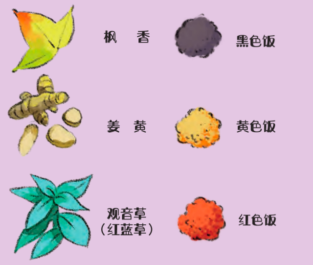 直播预告｜趣逛自然——走进海南热带雨林国家公园