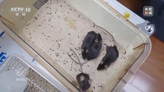 焦点访谈丨中国航天奏响新乐章 神二十一有接力更有突破！