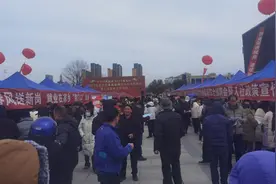 蓝田县2025年“春风行动”现场综合招聘会：为求职者搭建广阔平台图片