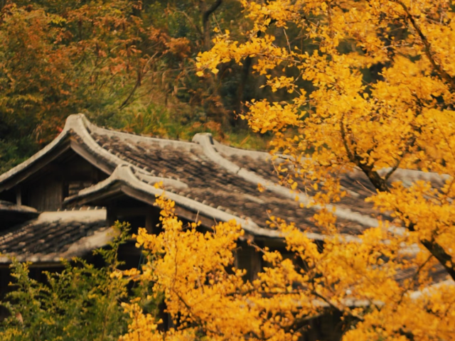 航旅融合 | 抽免费机票，来三明欣赏不一样的初冬景色！