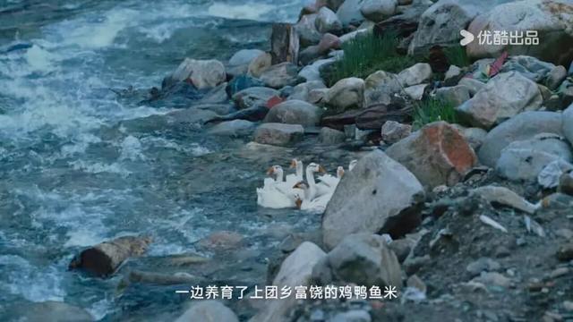 太是那个了！谭维维和丁真去过的九龙真的不一般