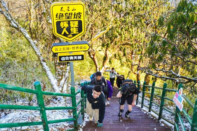 启幕赛燃爆收官！2025瓦屋山冰雪登山挑战赛-日常赛接力开冲，四季合一召唤【神龙奖牌】!