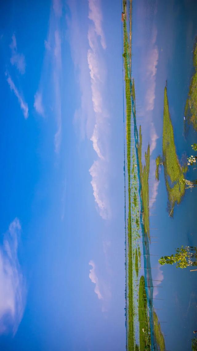 赤黄红·洪湖情 | 2025环洪湖马拉松，跑进水乡新画卷！