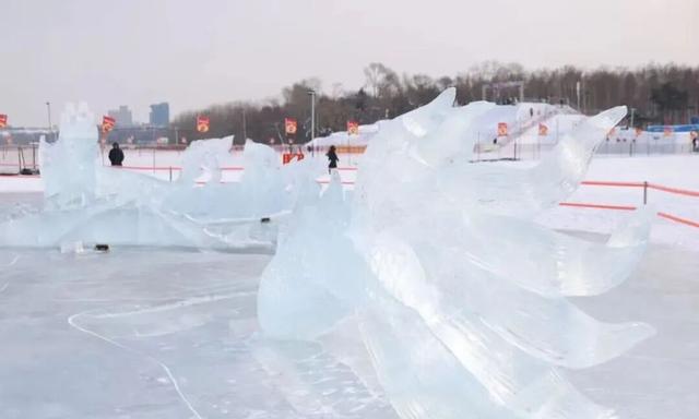 【推荐】南湖公园的冰龙又来啦，今年，还多了冰凤凰