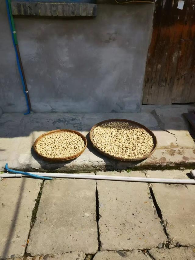 穿越龙泉山，发现一个「活的」老场镇