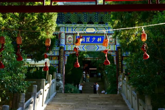 市县融媒看成县 | 成县：千年文脉融入城市公园 民生福祉触手可及