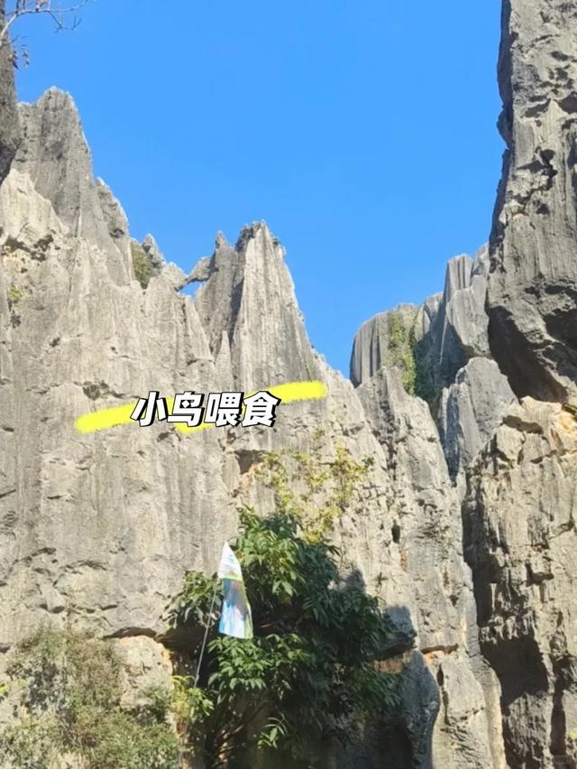 什么！石林县城比风景区更好玩儿？旅游博主的攻略来了