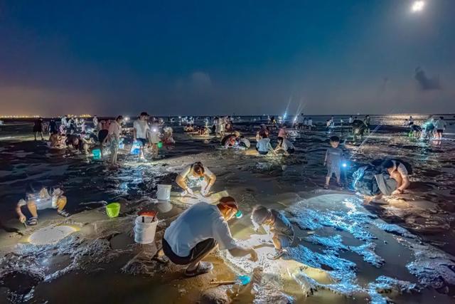 音乐节、星空露营、啤酒嘉年华......日照一大波文旅活动来袭！