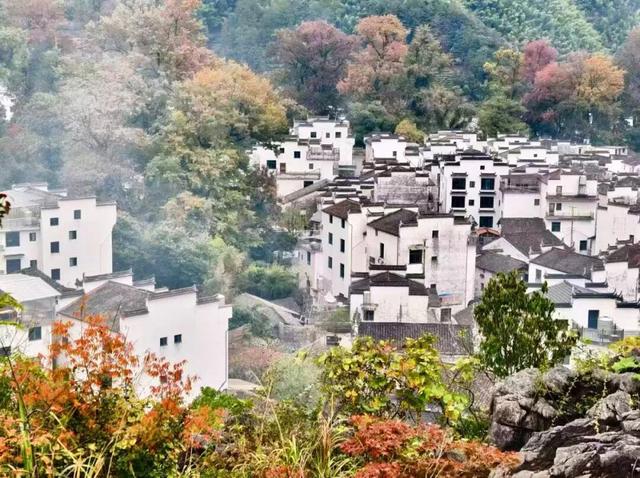 上饶绝美“枫景”加载完毕，前往石城锁定你的赏枫C位！