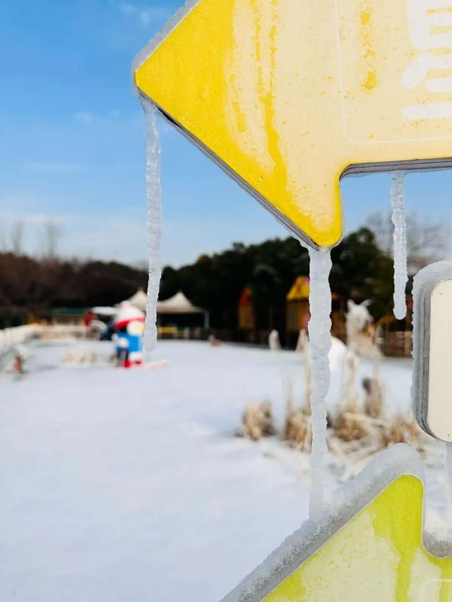 还去啥东北 金山就有“冰雪大世界”！
