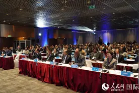 北京—南非经贸合作推介洽谈会成功举办图片