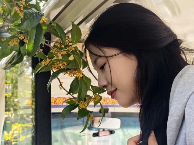 七星景区迎金秋