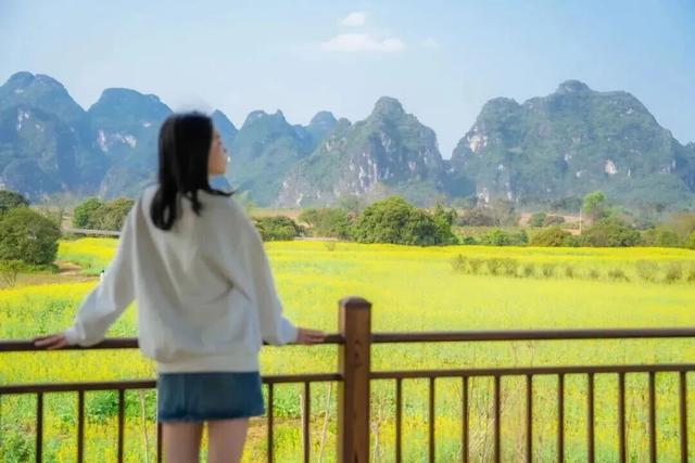 八桂冬日似春朝 赏花观叶正当时