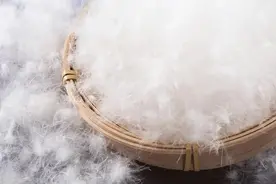 羽绒服到底能不能干洗？最全冬装清洗攻略→图片