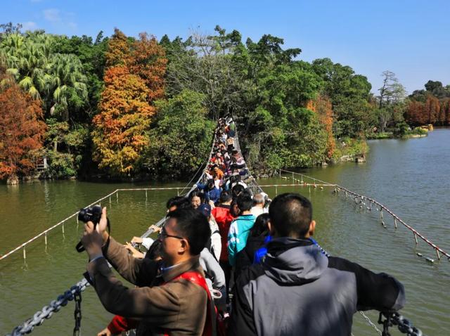 游客量全国第22！元旦假期，星湖景区，超火！