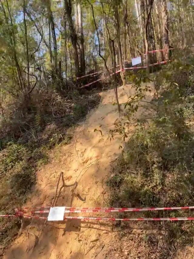 广州大夫山森林公园“画马”火爆，园方紧急叫停