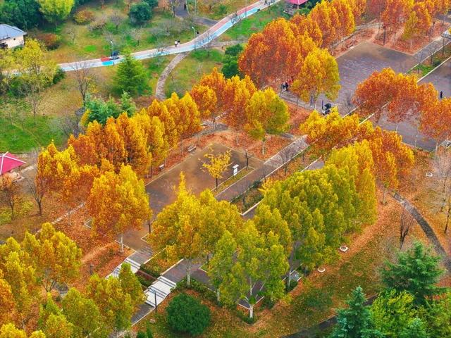 五彩斑斓！巩义市区这个宝藏打卡地迎来颜值巅峰→