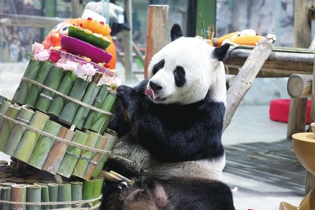 奋进的河南 决胜“十四五”丨来神奇栾川 不只老君山——以品牌升级撬动文旅产业高质量发展的栾川实践