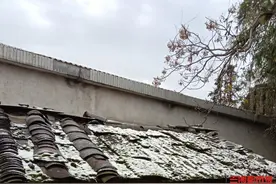 下雪啦！长沙宁乡迎来今冬首场降雪图片