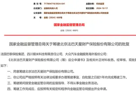 法巴天星财险获批筹建，股东方包含小米集团成员 | 大鱼财经图片