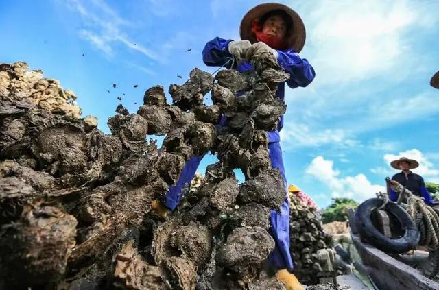 新华社携手董宇辉，走进广西的蔚蓝海岸……