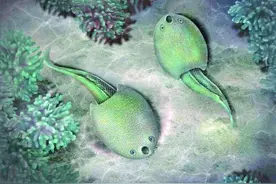 江西发现4.36亿年前“隆平德安鱼”图片