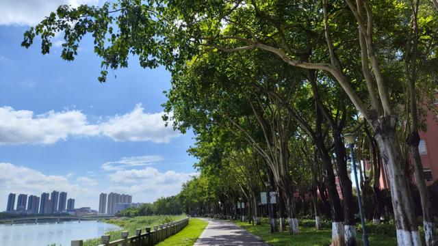 开学倒计时！抓住暑假“小尾巴”，用一场公园野餐给娃「充电」再出发！