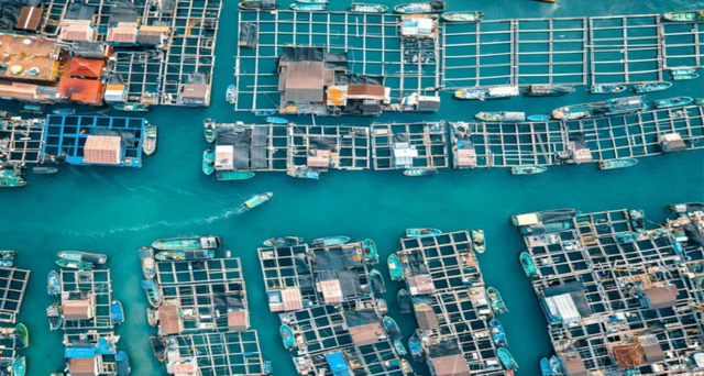 何以海南·陵水篇｜陵水：南海之畔的海洋情结与文化传承