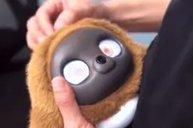 机器人也要哄睡了？AI宠物抢食孤独经济图片