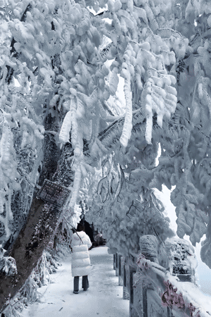 冬至丨解锁桂林的多彩冬天！