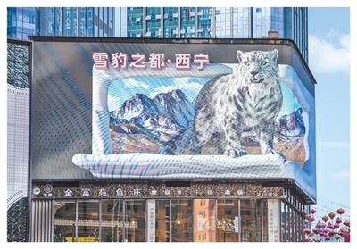 文化IP  城市出圈新名片（文化中国行·感知文化里的中国）