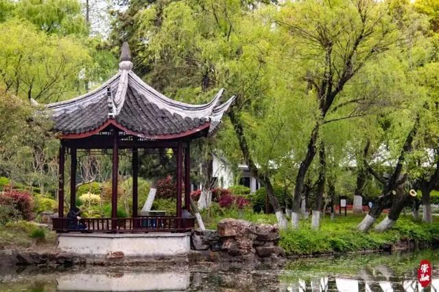 崇明，把风雅“亭”在了时光里
