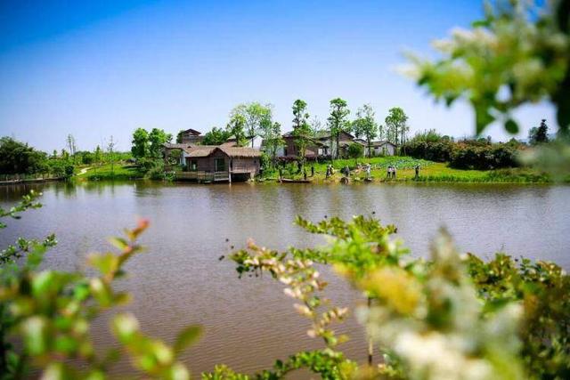 走，跟着《2025巴渝农耕文化赏秋体验地图》一起去寻秋！