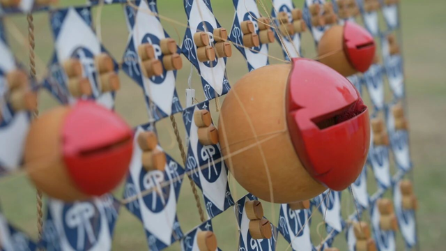 南通如东：彩鸢竞飞，“筝”奇斗艳