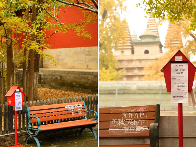 这场不等人的浪漫，有新玩法