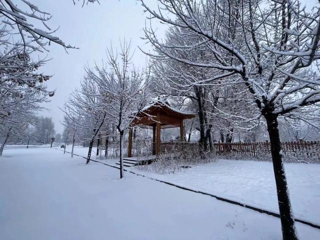 等一场雪，念一座城！敦化冬景如画