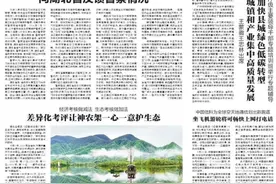 多地报告上半年出生人口增加：分析称与政策激励、属相偏好有关图片