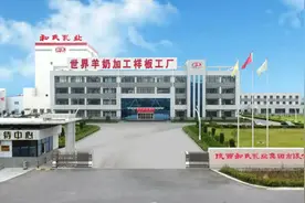 新国标和氏儿童奶粉！品质更高！图片
