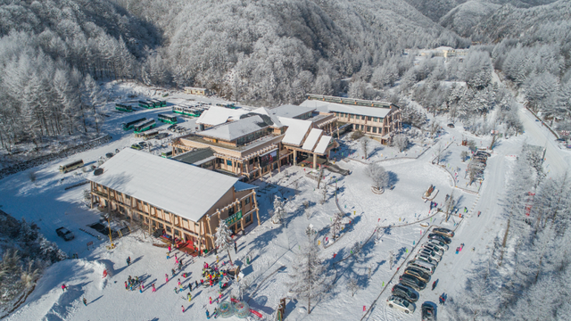 一键收藏！卾冬最全滑雪攻略