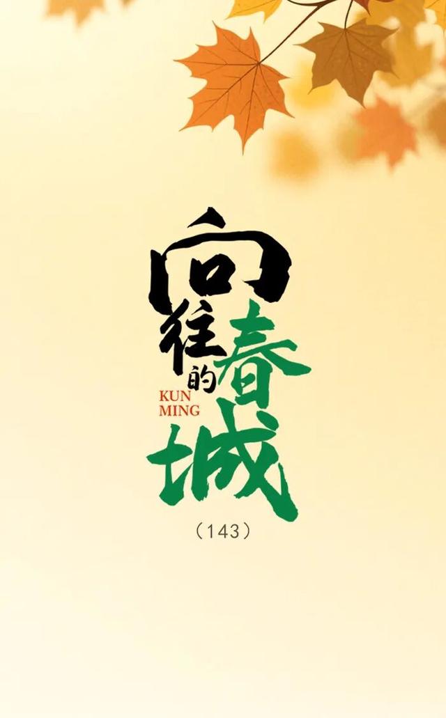 昆明之秋：一半是春，一半是金