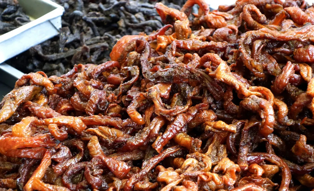 12月6日至7日！2025“活力夜广西”嘉年华钦州主场活动开启