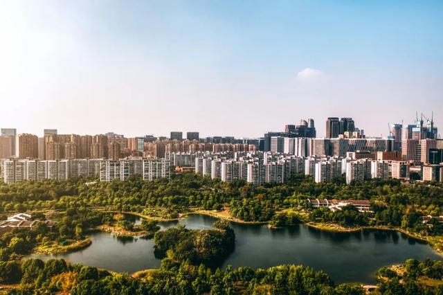 发现·公园城市 | 深呼吸，感受成都湿地魅力